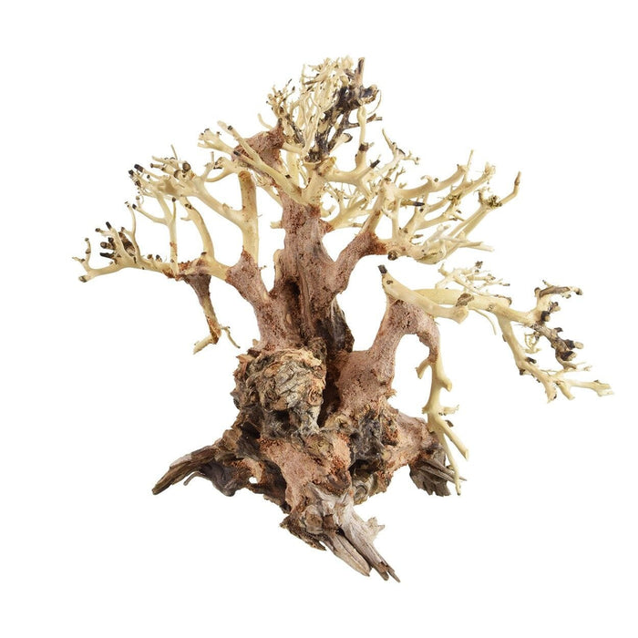 Underwater Treasures Bonsai Wood With Plant - Extra Large