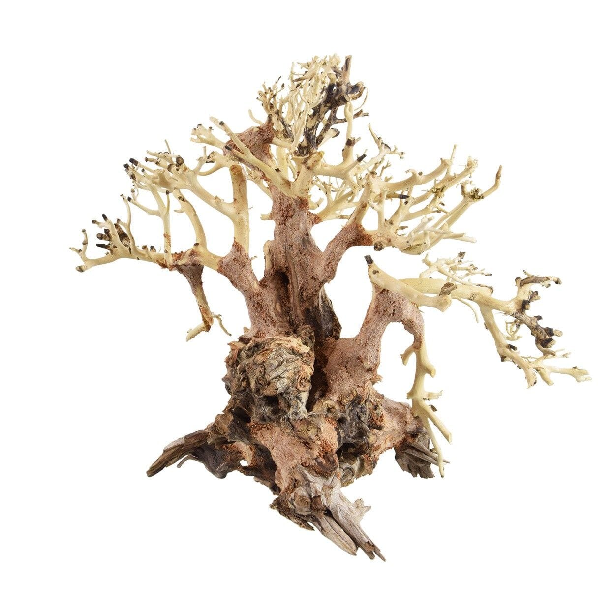 Underwater Treasures Bonsai Wood With Plant - Large  