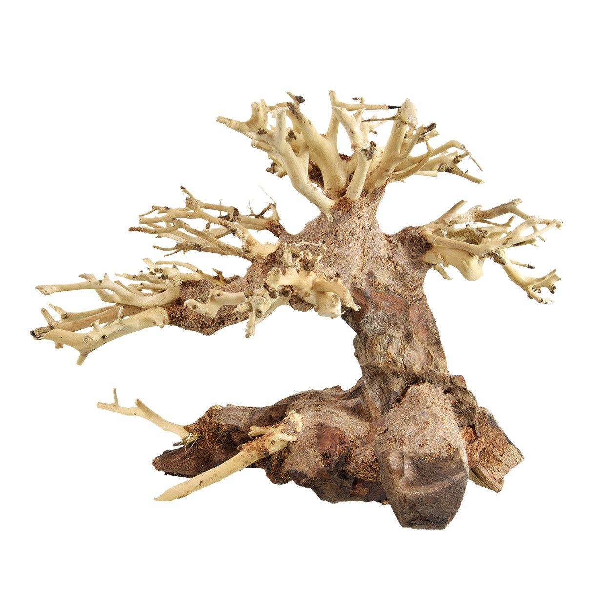 Underwater Treasures Bonsai Wood - XXXS - Pack of 2  