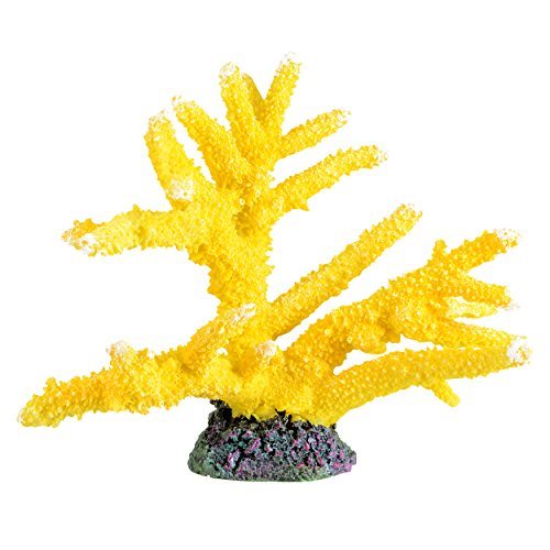 Underwater Treasures Branch Coral - Sun