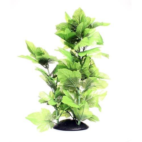 Underwater Treasures Broad Leaf - 16"  