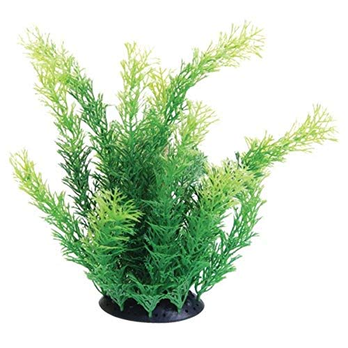 Underwater Treasures Cabomba - 10"  