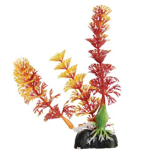 Underwater Treasures Cabomba - Red - 5" - Pack of 6  