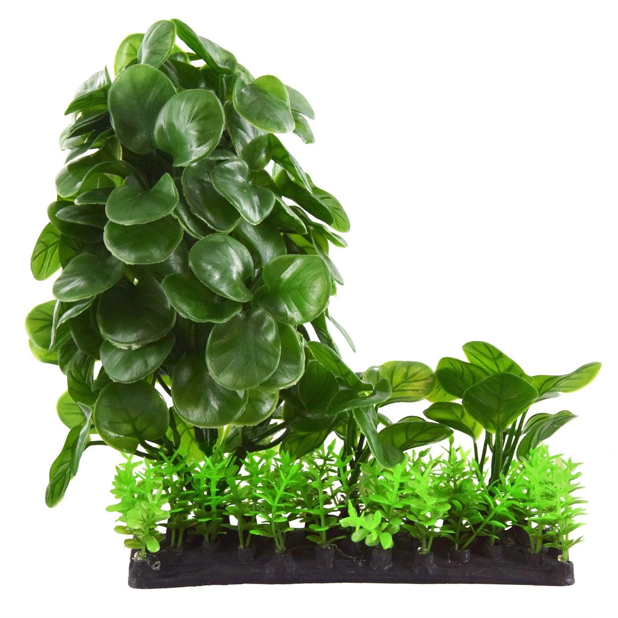 Underwater Treasures Calathea Mound  