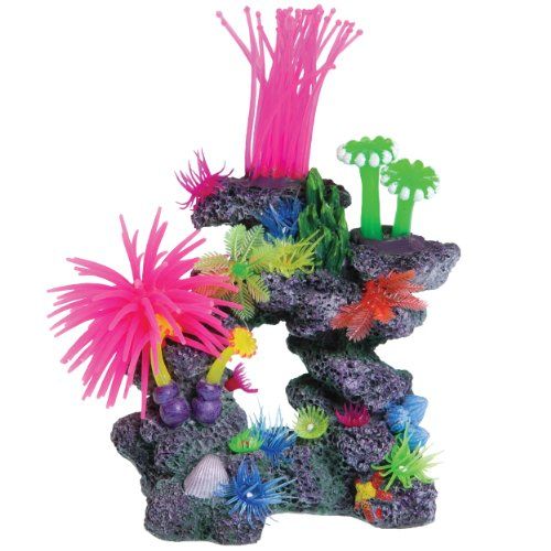 Underwater Treasures Caribbean Cave Reef  