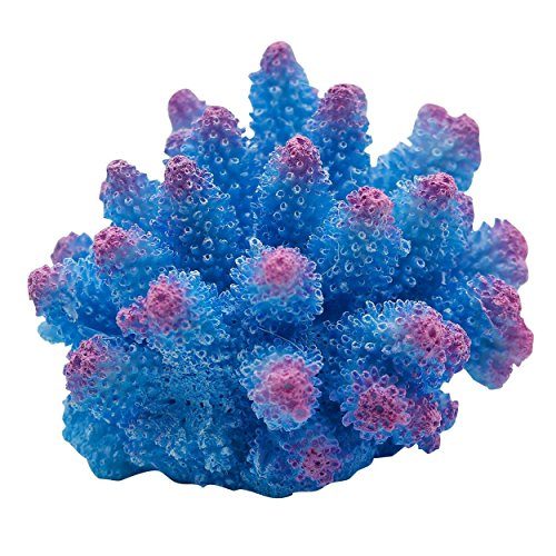 Underwater Treasures Cauliflower Coral - Blue