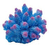 Underwater Treasures Cauliflower Coral - Blue  