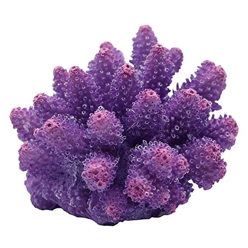 Underwater Treasures Cauliflower Coral - Purple  