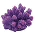 Underwater Treasures Cauliflower Coral - Purple  