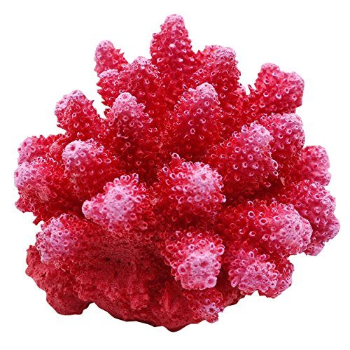 Underwater Treasures Cauliflower Coral - Red