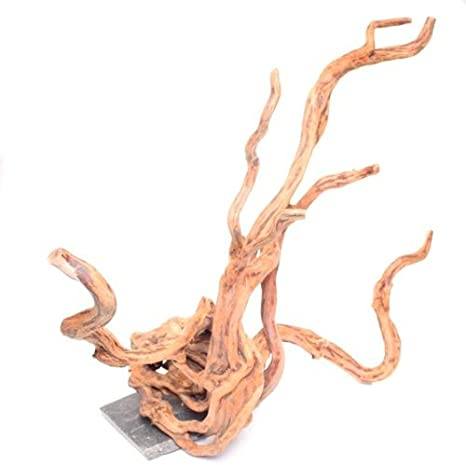 Underwater Treasures Cholla Wood - Large  