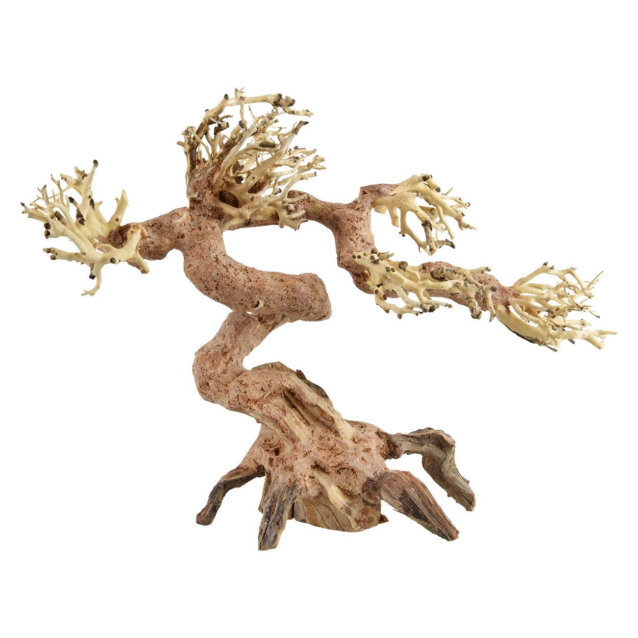 Underwater Treasures Claw Bonsai Wood - Small - Pack of 2  