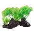 Underwater Treasures Crinkle Leaf Plant  