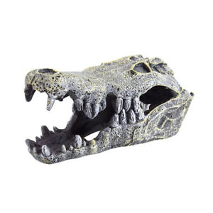 Underwater Treasures Crocodile Skull  