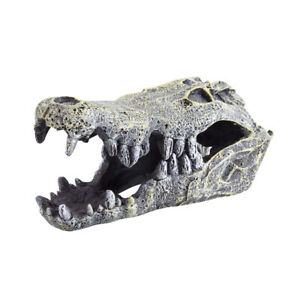 Underwater Treasures Crocodile Skull