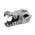 Underwater Treasures Crocodile Skull  