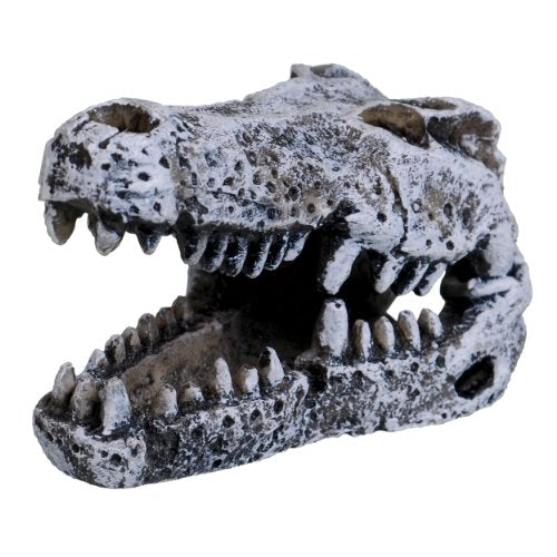 Underwater Treasures Crocodile Skull - Mini  