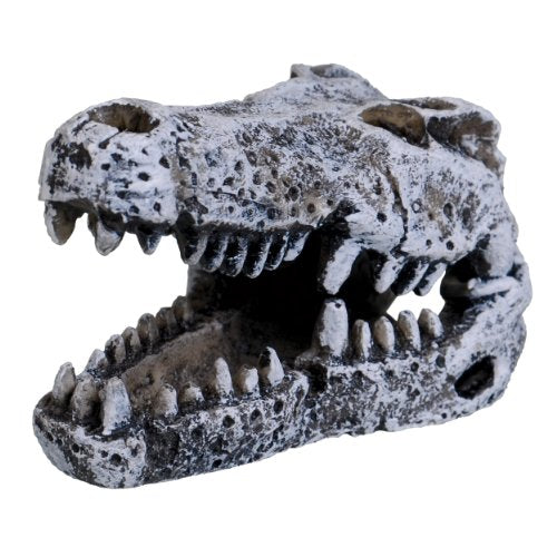 Underwater Treasures Crocodile Skull - Mini