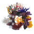 Underwater Treasures Deepwater Coral Cavern  