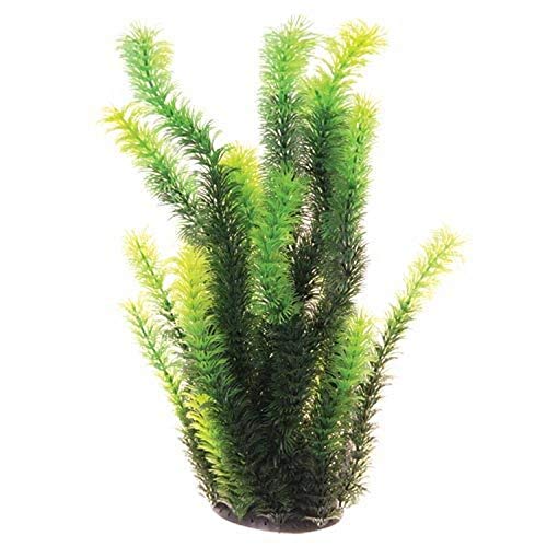 Underwater Treasures Diandra - 16"  