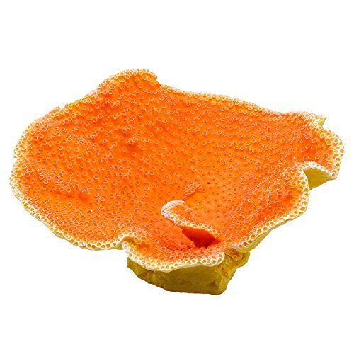 Underwater Treasures Dinner Plate Coral - Orange