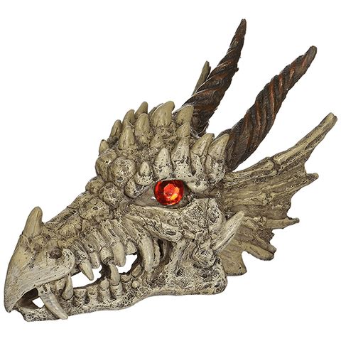 Underwater Treasures Dragon Skull  