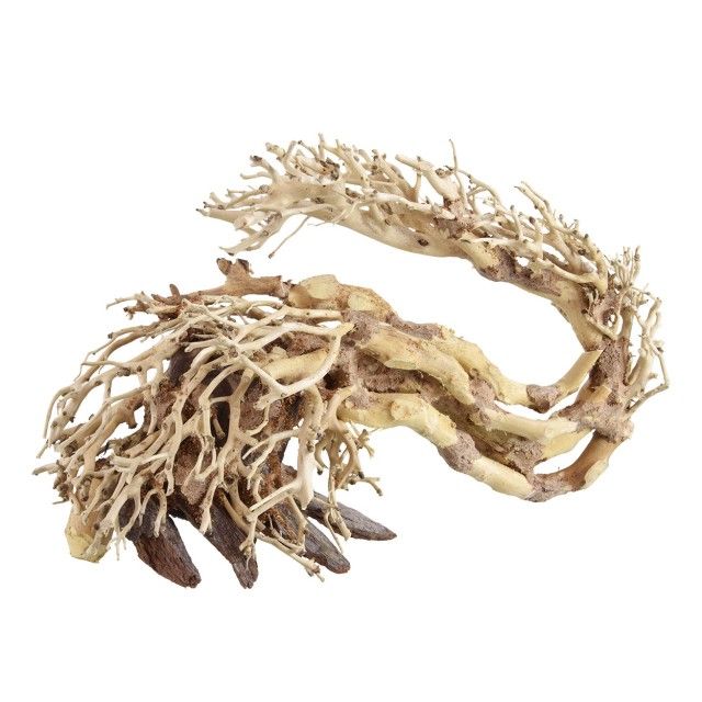 Underwater Treasures Dragon Wood - Medium  