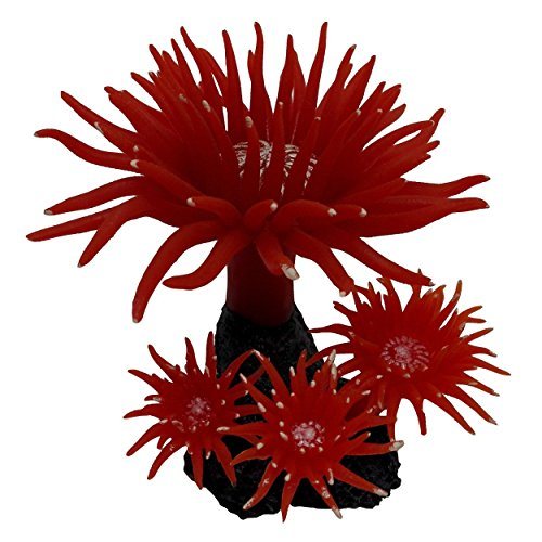 Underwater Treasures Duncan Coral - Fire Red