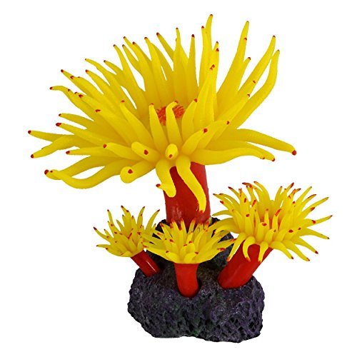 Underwater Treasures Duncan Coral - Sunset  
