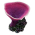 Underwater Treasures Elephant Ear Coral - Grape  