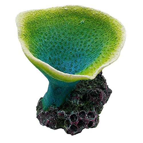 Underwater Treasures Elephant Ear Coral - Green  