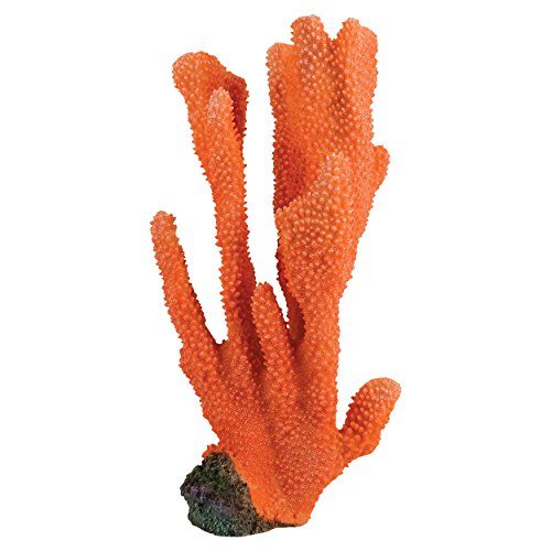 Underwater Treasures Elkhorn - Orange  