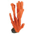 Underwater Treasures Elkhorn - Orange  