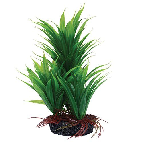 Underwater Treasures Emerald Fern - Green - 8"  