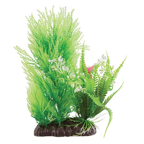Underwater Treasures Fine Fern Bunch  