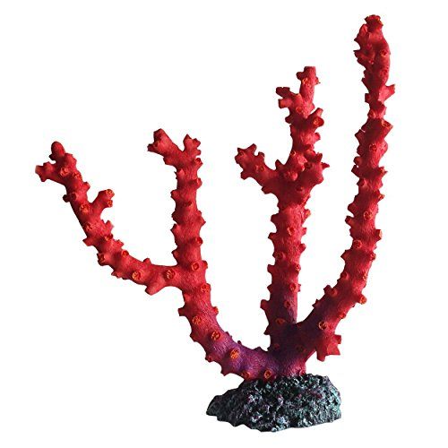 Underwater Treasures Fire Red Gorgonian Coral  