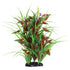 Underwater Treasures Flowering Arrowhead - 12"  