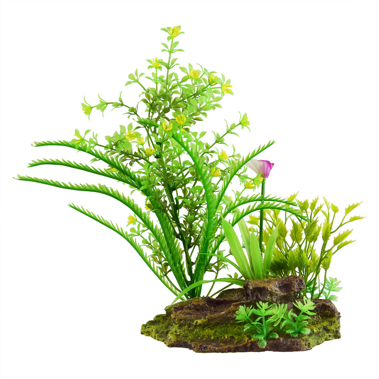 Underwater Treasures Flowering Plants  
