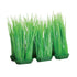 Underwater Treasures Foregrounder - Green Hairgrass (6 Pod) - 4"  