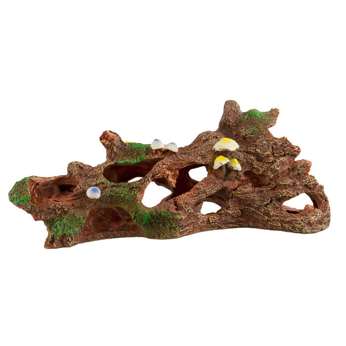 Underwater Treasures Forest Floor Log