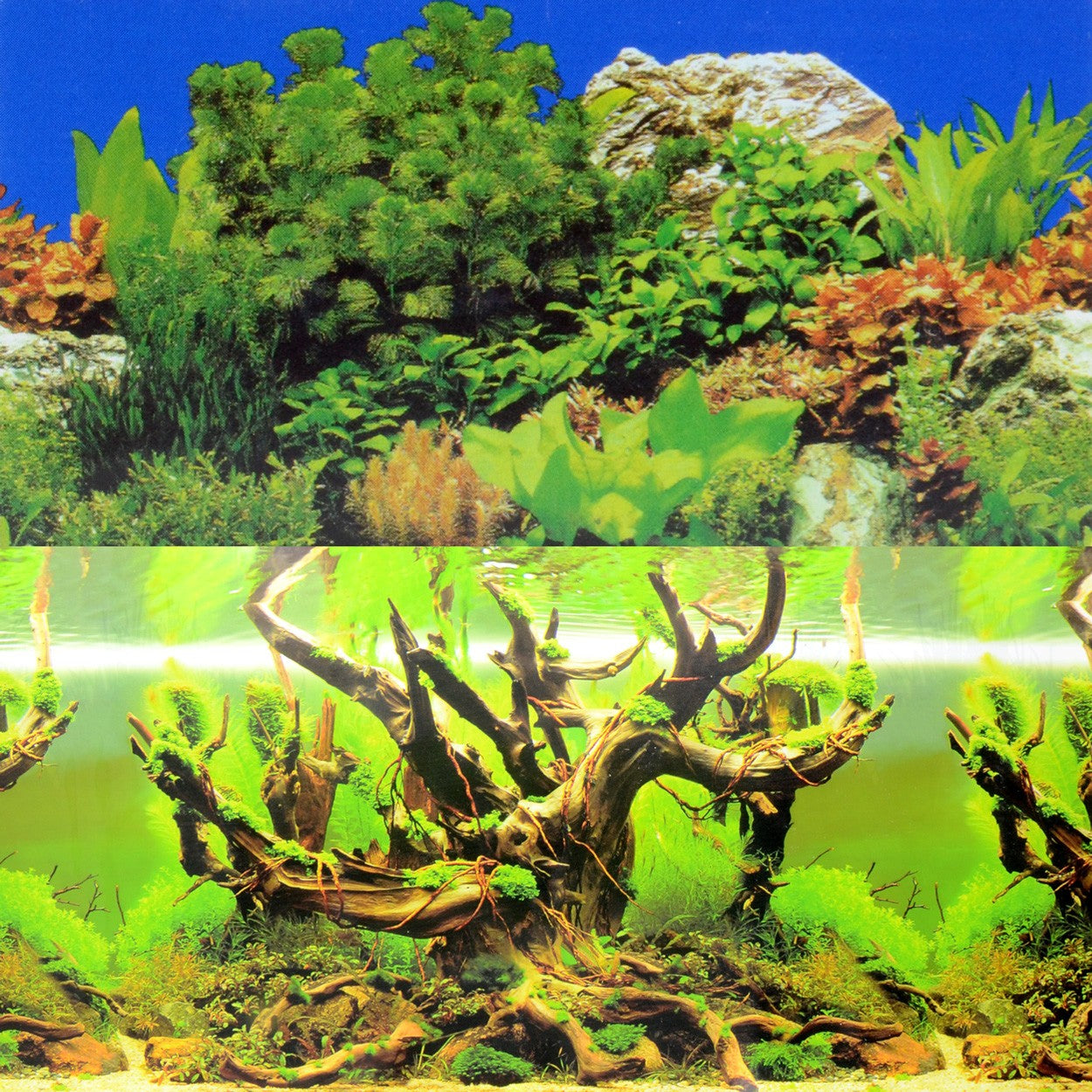 Underwater Treasures Forest Landscape  