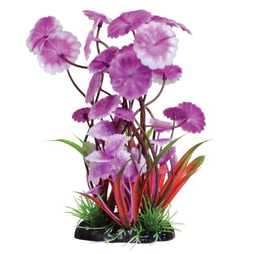 Underwater Treasures Fuscia Love Lily - 8