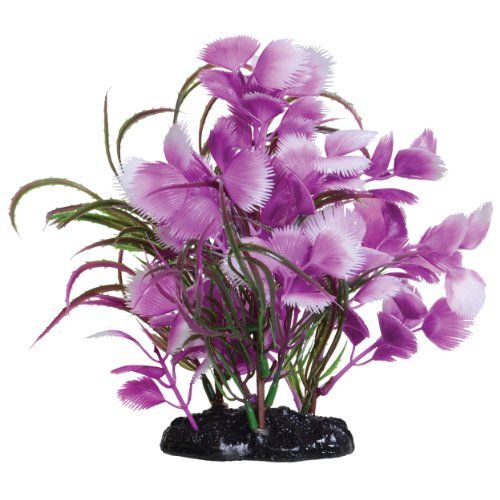 Underwater Treasures Fuscia Moon - 7.5"