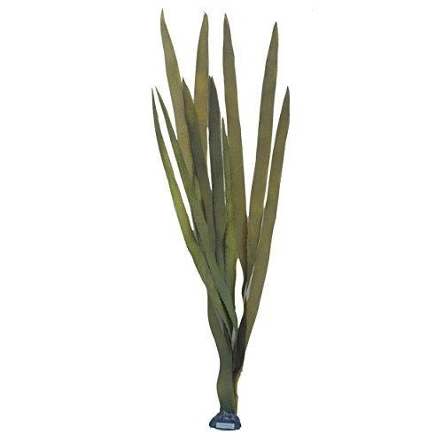 Underwater Treasures Giant Kelp - 40"  