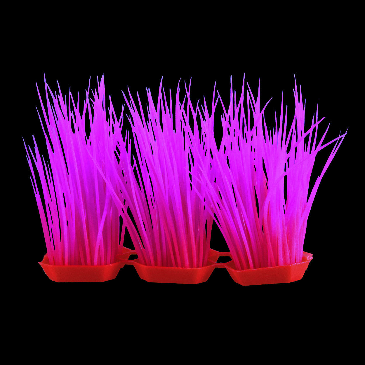 Underwater Treasures Glow Hair Grass - Pink  