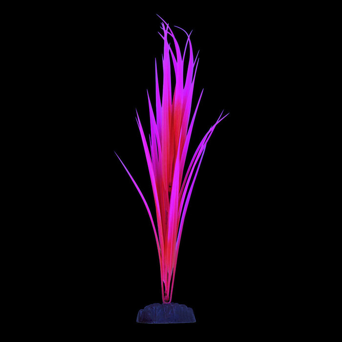 Underwater Treasures Glow Sagittaria - Pink