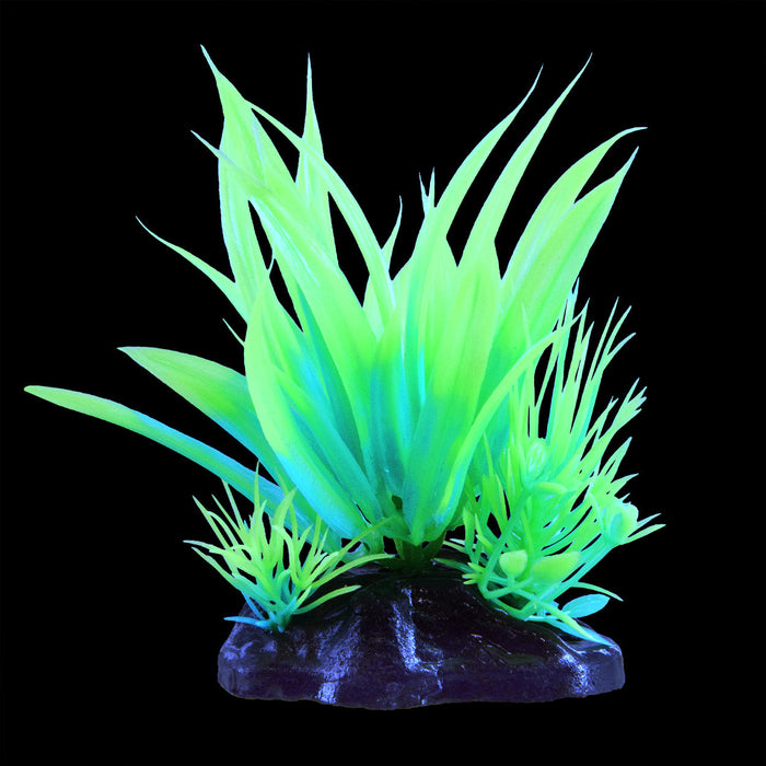 Underwater Treasures Glow Star Plant - Green