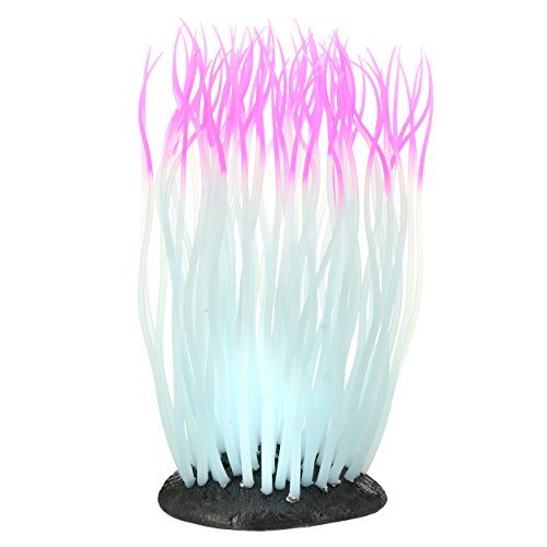 Underwater Treasures Glowing Anemone - Pink - Large  