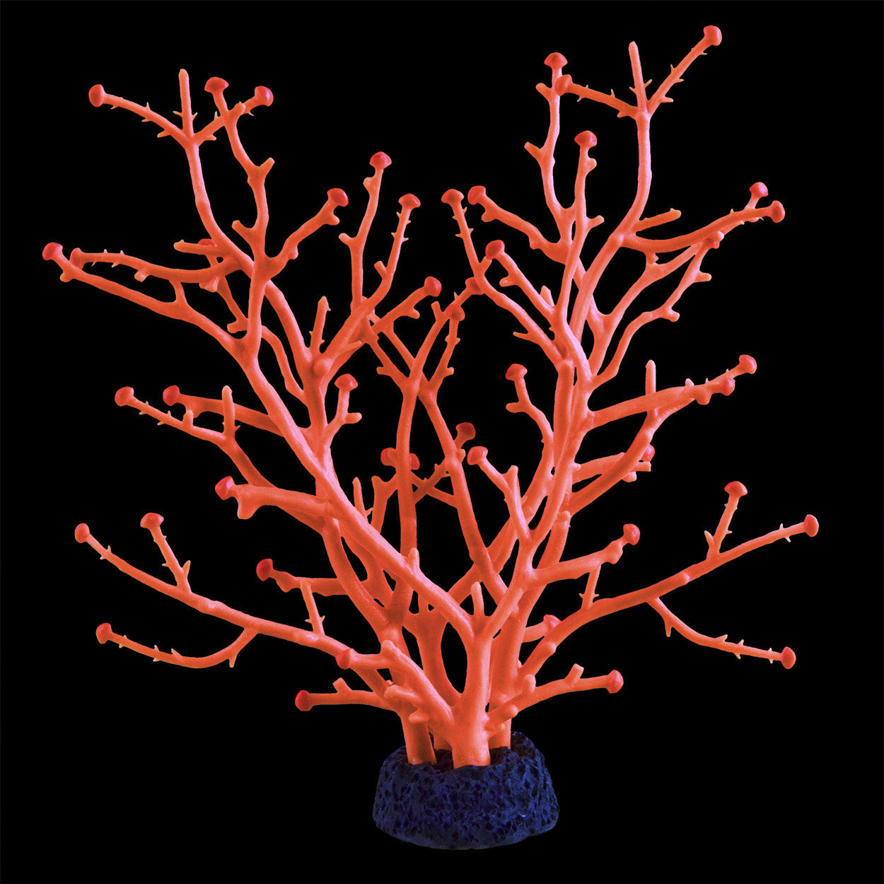 Underwater Treasures Gorgonian - Orange  