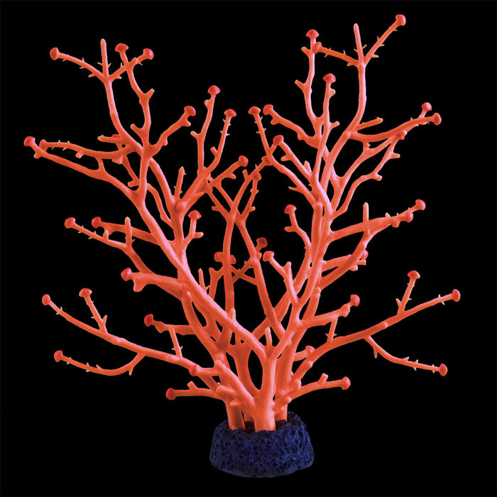 Underwater Treasures Gorgonian - Orange